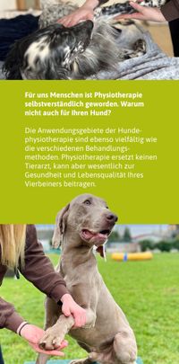 Hundephysiotherapie_1